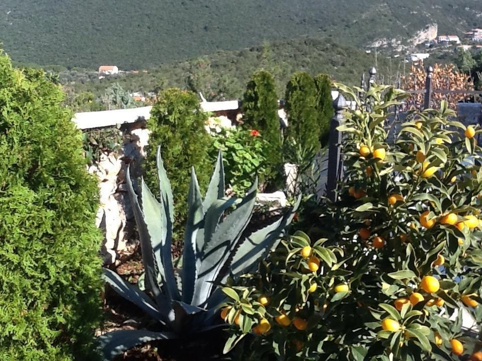 Villa Mirista Bán đảo Luštica Phòng bức ảnh
